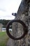 Perfect circle of metal in the garden of Chenonceau Castle