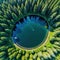 An almost perfect circular shot straight down from the is encircled by a pine forest and looks like the