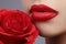 Perfect clean skin, red lip make-up. Beautiful visage portrait with red rose flower