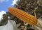 Perfect Corn Harvest