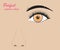 Perfect Eyebrow Scheme Banner Concept Ad Poster Card. Vector