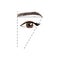 Perfect eyebrow shape tutorial. Vector template