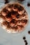 Perfect freshly made Italian tiramisu with cacao. Tiramisu portion on a white marble background. Delicious no bake tiramisu ready-