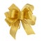 Perfect golden bow