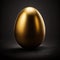 Perfect golden egg. Beautiful shiny golden egg on dark black background