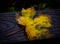 A perfect golden leaf on wood texture