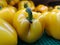 A perfect group of yellow bell peppers, if it weren`t for a fly visitor, which wouldn`t leave.