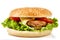 The perfect hamburger with cheese, bacon, pickles, tomato, onions and lettuce on white background.