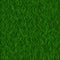 Perfect lawn background. Green grass . Beautiful fresh texture.