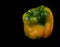 The Perfect Multi colored bell Pepper