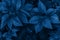 Perfect natural fresh grass pattern background. Dark blue moody backdrop for your design. Top view.