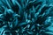 Perfect natural fresh grass pattern background. Trendy aqua toned backdrop for your design. Dark and moody feel. Top