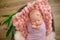 Perfect newborn baby girl in pink blanket in a wicker basket decorated with beautiful  pink tulips