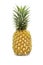 Perfect organic ripe pineapple with green stem and yellow golden peel on white isolated background with clipping path in vertical