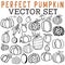 Perfect Pumpkin Vector Set with Halloween pumpkins of all sizes