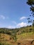 PERFECT RICE FIELD VIEW