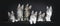 Perfect row of six gorgeous Maine Coon cat kittens Isolated on black background.