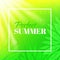 Perfect summer. Banner with typographic design. Background with leaves and sun