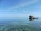 Perfect sunny day above the reef at low tide, transparent water makes reef visible