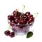 Perfect sweet cherries isolated