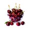 Perfect sweet cherries isolated