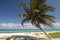 A perfect tropical beach, a tourist with a bike sunbathing and a palm tree and calm sea