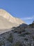 A perfect view of the spiti valley