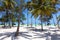 Perfect white sand beach with palm trees, Paje, Zanzibar, Tanzania