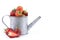 Perfectly retouched fresh strawberry fruit with sliced half in silver colored watering can on white background.