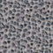 Perfectly Seamless Texture Stone 00341
