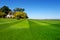 Perfectly striped freshly mowed garden lawn