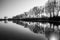 Perfectly symmetric perspective view of trees reflections on a lake