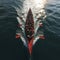 Perfectly synchronized rowing team captured in a stunning aerial view