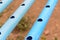 Perforated pvc pipe by HOLE SAW for use in D.I.Y hydroponics sytem