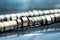 Performance camshafts