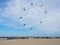 Performance of four-wire acrobatic kites revolution by the sea o