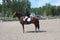 performance of a man riding a horse in the equestrian arena