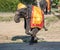 Performance of a trained elephant in Thai Zoo.