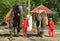 Performance of a trained elephant in Thai Zoo.