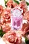 Perfume bottle in pink flower roses. Spring background with luxury aroma parfume. Beauty cosmetic shot