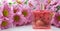 A perfume bottle surrounded by pink chrysanthemum flowers. Eau de toilette, eau de parfum, beauty concept