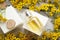 Perfume bottles around yellow flowers at  wooden old style background . flat lay. perfumery concept