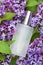 Perfumed water, eau de par fum with floral aroma. lilac and perfume in white transparent bottle in spring flower background