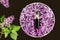 Perfumed water with floral aroma. lilac and perfume on black background. Beauty cosmetic, fresh aromatic. scent sprayers and flowe