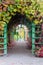 Pergola with colorful climbing plants