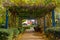 A pergola covered in climbing plants over a footpath.