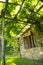 Pergola covered by the vine plant