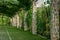 Pergola garden - archway in a garden covered with climbing grapes