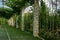 Pergola garden - archway in a garden covered with climbing grapes