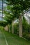 Pergola garden - archway in a garden covered with climbing grapes